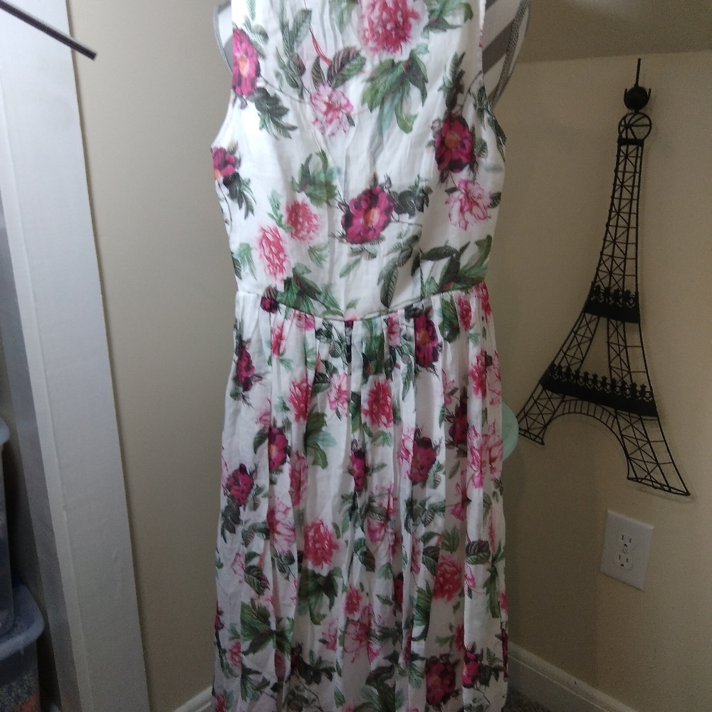 NWT BB DAKOTA FLORAL Dress RSVP size 0 sleeveless slip-lined ivory